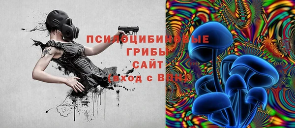 прущая мука Аркадак