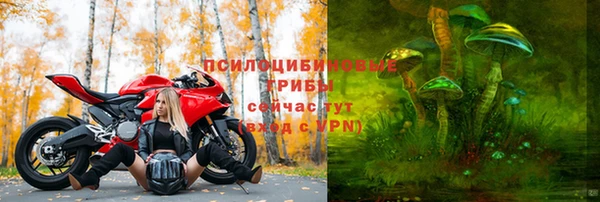 бошки Арсеньев